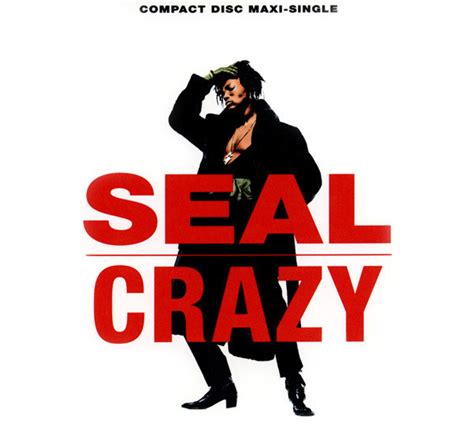 crazy testo seal|seal crazy album.